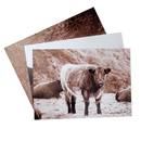 Skapa en fotoposter med dina foton