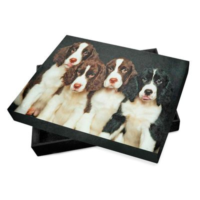 fotobuch box personalisieren