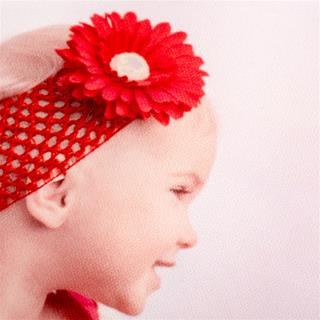 コットン　布プリント