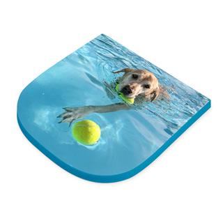 cuscino piatto personalizzato con foto cane