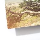 Aluminium prints detail