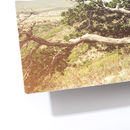 custom metal prints detail