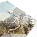 imprimir en aluminio tus fotos