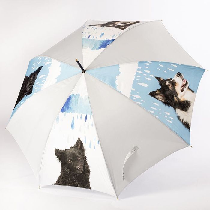 Paraguas originales personalizados