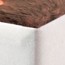 写真　フォトキューブ