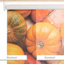 rollo stoff bedrucken lassen