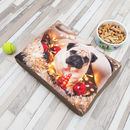custom dog bed