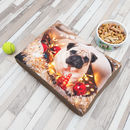 Design Your Own Dog Bed