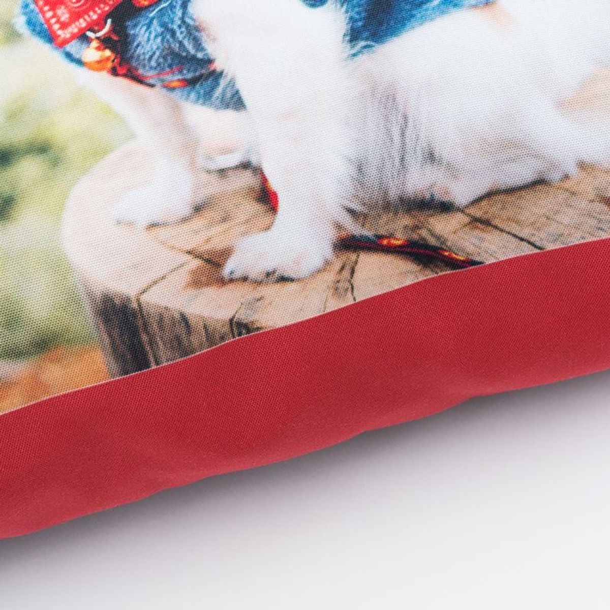 Cuscino Personalizzato Per Animali - Stampa 3D Della Testa E Corpo Dei Tuoi Cari - Foto 10