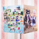 Photo Lampshade custom made