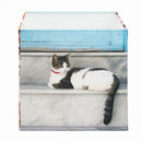 cat photo on personalized photo lamp