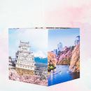 lampshade with holiday photos