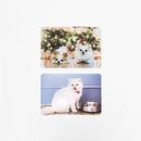 personalised doormat with photo of cat