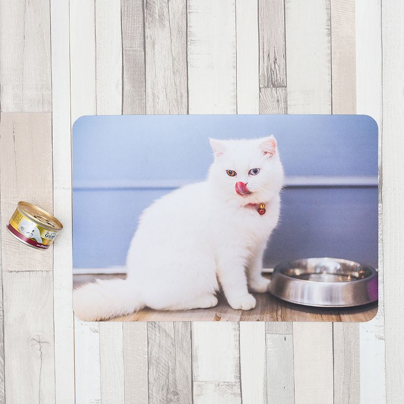 Personalised pet mat shops