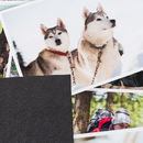 personalized pet mat details