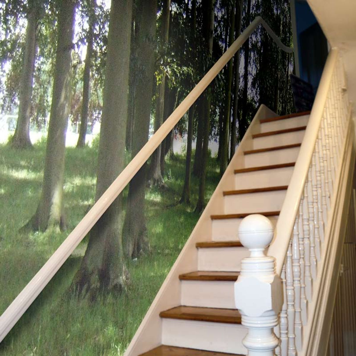 Removable Wallpaper. Temporary Wallpaper UK.