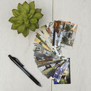 create your own business cards