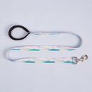 personalizar correas para perros