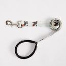 laisse avec deux photos