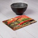 En eller flera bordsunderlägg