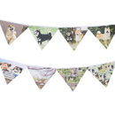 Personalized bunting