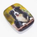 Dog lunch box design Pet