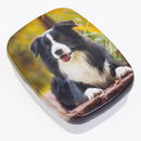 Animal de compagnie imprimé sur la lunch box personnalisable