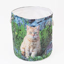 cesta de ropa sucia con fotos