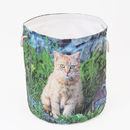 Panier à jouet avec photo de chat