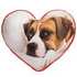 cuscino a forma di cuore foto cane