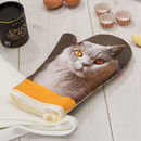 Gant de cuisine original chat
