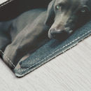 Porte carte cuir avec photo chien