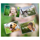 collage design printed onto poster