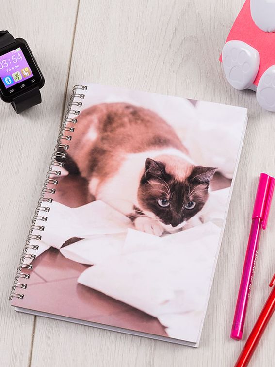 impression photo sur cahier chat