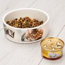 Photo printed pet bowls