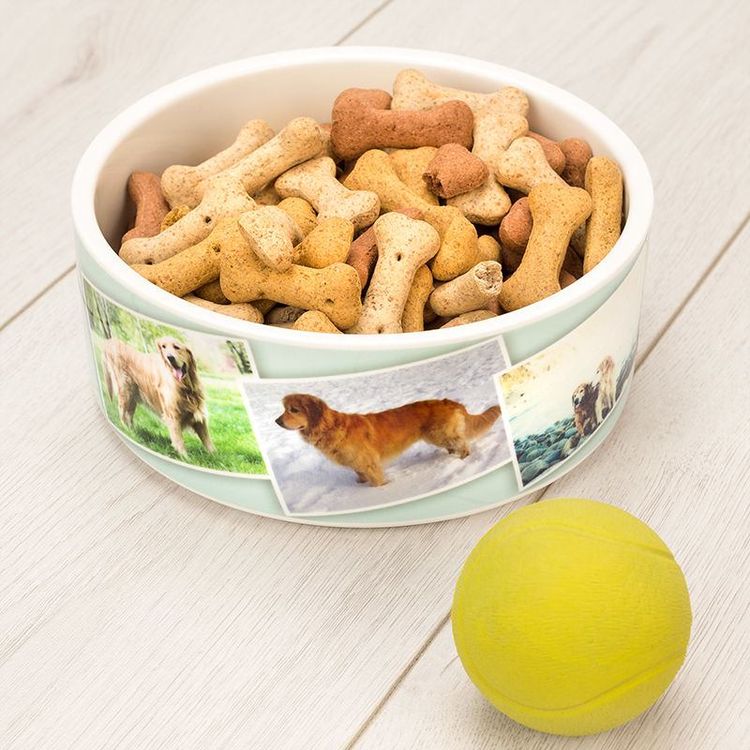 Dog Bowl printed with your photos