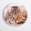 印刷　コップ置き