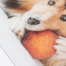 close up glass chopping board