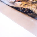 Zoom sur impression de la feutrine