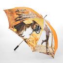 Design Your Own Umbrella with Large Size