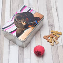 Dog cookie treats tin