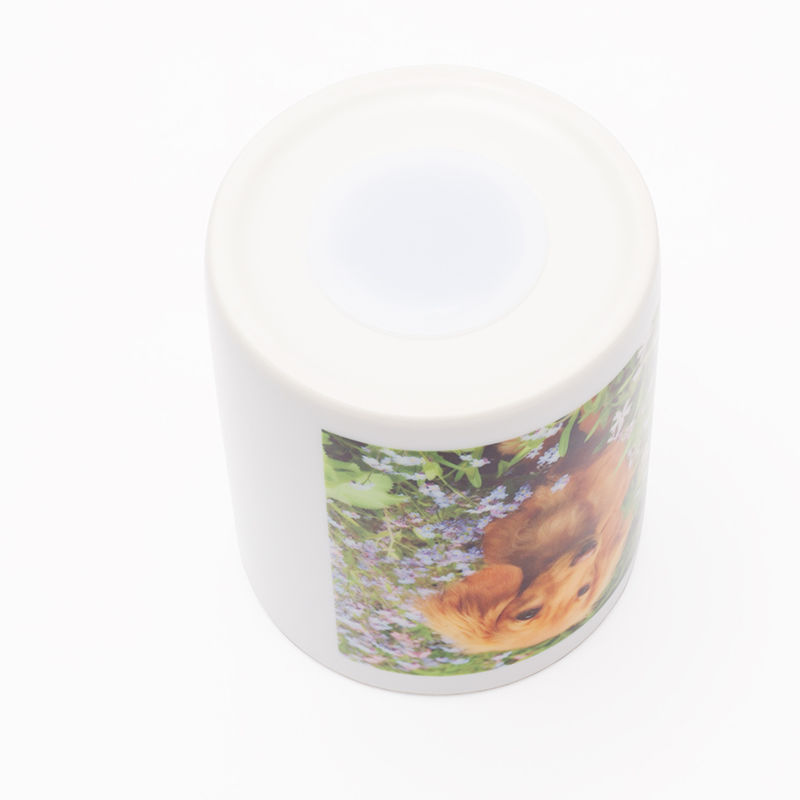 Personalized Piggy Banks Canada. Custom Money Jar.