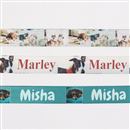 correas para perros con nombre