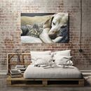 lienzo personalizado para pared con fotos