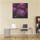 square canvas prints