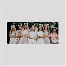 hen party photo banner