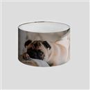 personalized lamp shade