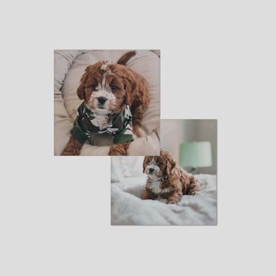 handkerchief with your dog on