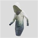 hooded sweatshirt dress