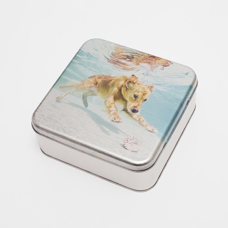 犬の　写真　デザインの　印刷された　金属製　プリント　缶